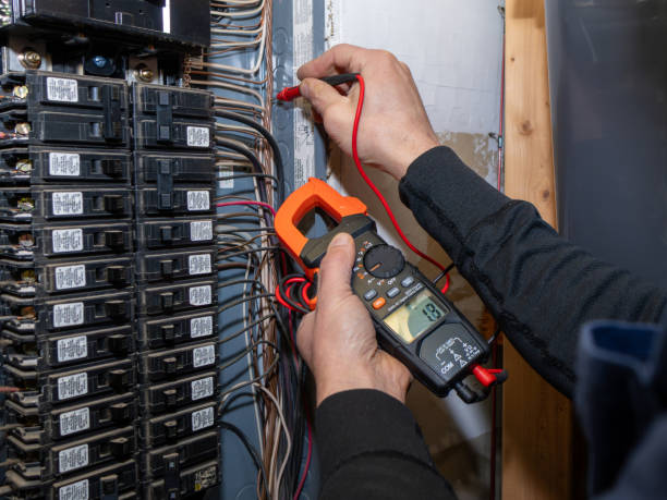 Best Electric Panel Repair  in Mangonia Park, FL